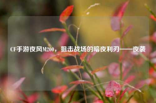CF手游夜风M200，狙击战场的暗夜利刃——夜袭