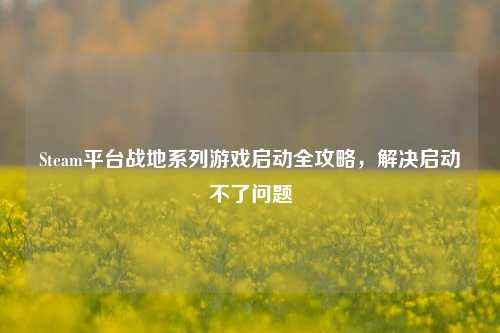 Steam平台战地系列游戏启动全攻略,解决启动不了问题