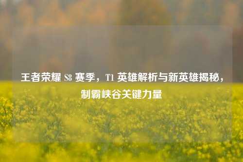 王者荣耀 S8 赛季,T1 英雄解析与新英雄揭秘,制霸峡谷关键力量