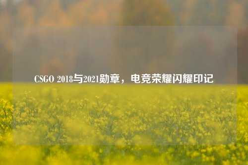 CSGO 2018与2021勋章,电竞荣耀闪耀印记