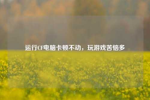 运行CF电脑卡顿不动,玩游戏苦恼多