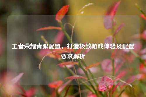 王者荣耀青眼配置,打造极致游戏体验及配置要求解析