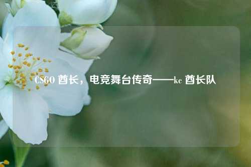 CSGO 酋长,电竞舞台传奇——kc 酋长队