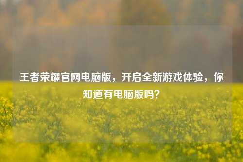 王者荣耀官网电脑版，开启全新游戏体验，你知道有电脑版吗？