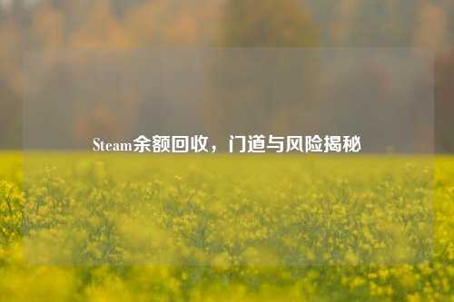 Steam余额回收,门道与风险揭秘