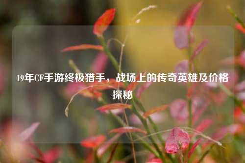 19年CF手游终极猎手,战场上的传奇英雄及价格探秘