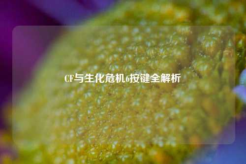 CF与生化危机6按键全解析