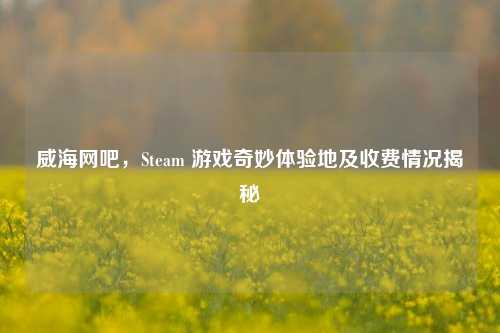 威海网吧,Steam 游戏奇妙体验地及收费情况揭秘