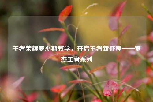 王者荣耀罗杰斯教学,开启王者新征程——罗杰王者系列