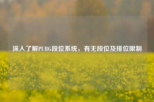 深入了解PUBG段位系统,有无段位及排位限制