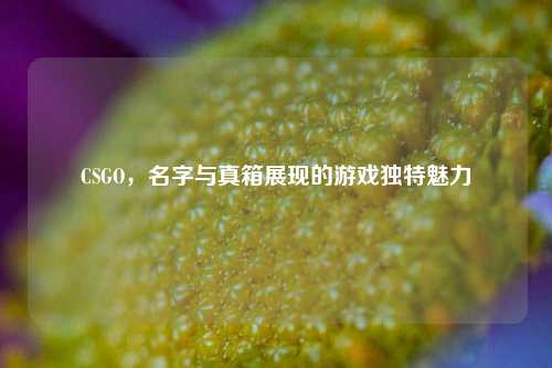 CSGO,名字与真箱展现的游戏独特魅力