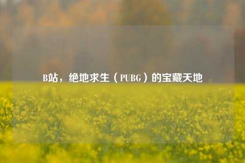 B站,绝地求生(PUBG)的宝藏天地