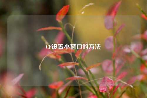 CF设置小窗口的方法
