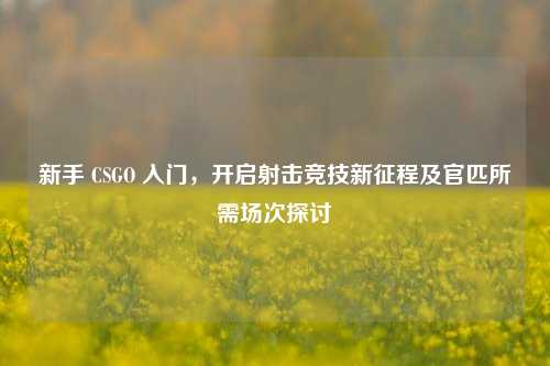 新手 CSGO 入门,开启射击竞技新征程及官匹所需场次探讨