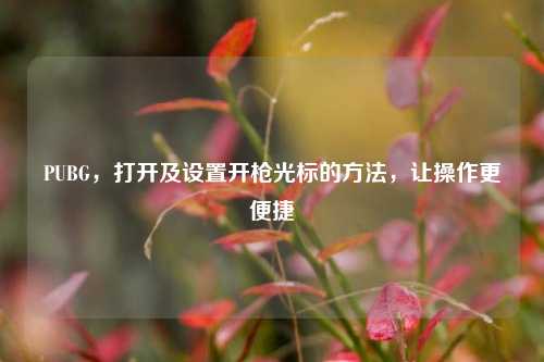PUBG,打开及设置开枪光标的方法,让操作更便捷