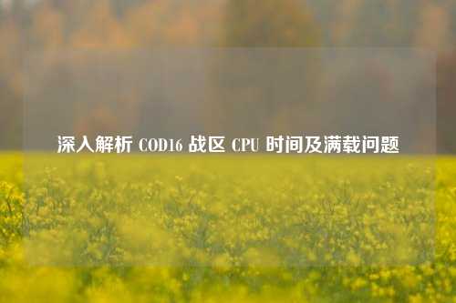 深入解析 COD16 战区 CPU 时间及满载问题