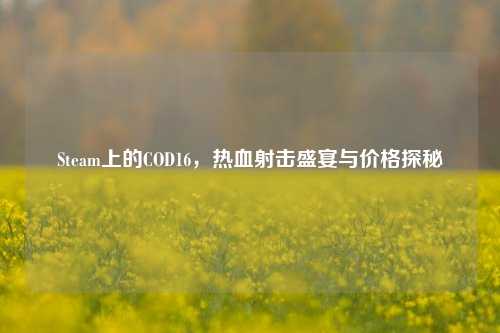 Steam上的COD16,热血射击盛宴与价格探秘