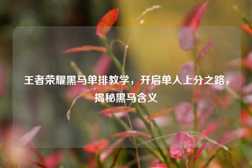 王者荣耀黑马单排教学,开启单人上分之路,揭秘黑马含义
