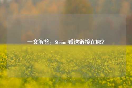 一文解答,Steam 赠送链接在哪?