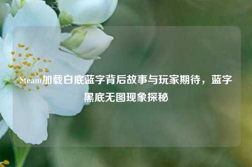 Steam加载白底蓝字背后故事与玩家期待,蓝字黑底无图现象探秘