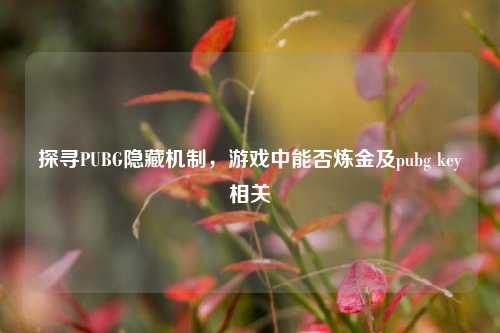 探寻PUBG隐藏机制,游戏中能否炼金及pubg key相关