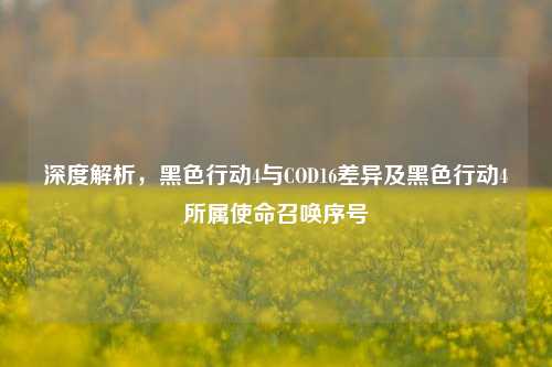 深度解析,黑色行动4与COD16差异及黑色行动4所属使命召唤序号