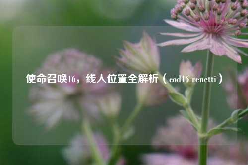 使命召唤16,线人位置全解析(cod16 renetti)