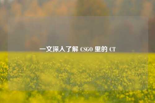 一文深入了解 CSGO 里的 CT