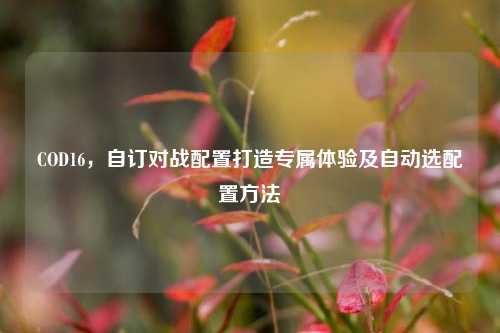 COD16,自订对战配置打造专属体验及自动选配置方法