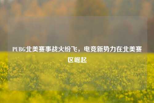 PUBG北美赛事战火纷飞,电竞新势力在北美赛区崛起