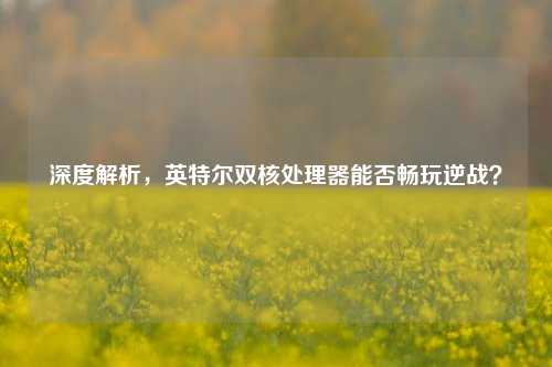 深度解析,英特尔双核处理器能否畅玩逆战?