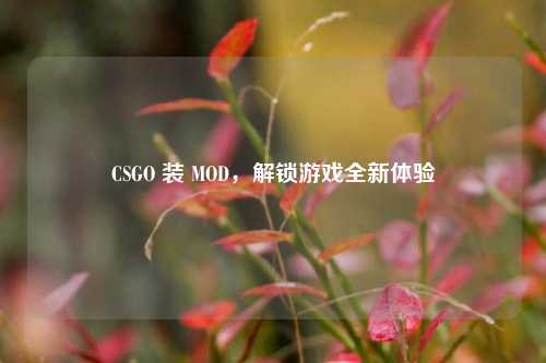 CSGO 装 MOD,解锁游戏全新体验