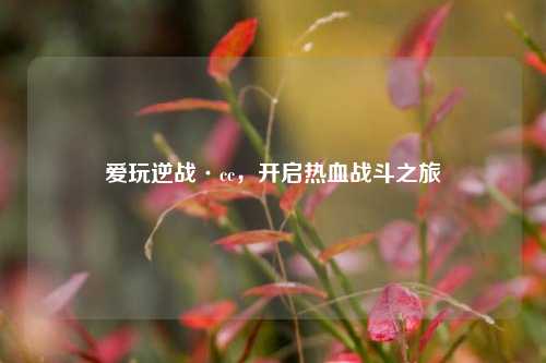爱玩逆战·cc，开启热血战斗之旅