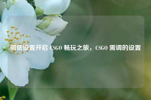 调低设置开启 CSGO 畅玩之旅,CSGO 需调的设置