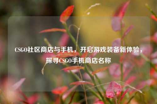 CSGO社区商店与手机，开启游戏装备新体验，探寻CSGO手机商店名称