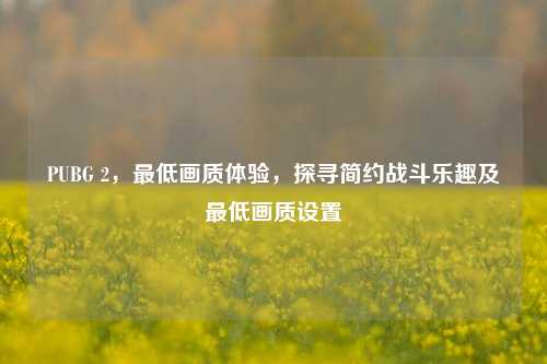 PUBG 2,最低画质体验,探寻简约战斗乐趣及最低画质设置