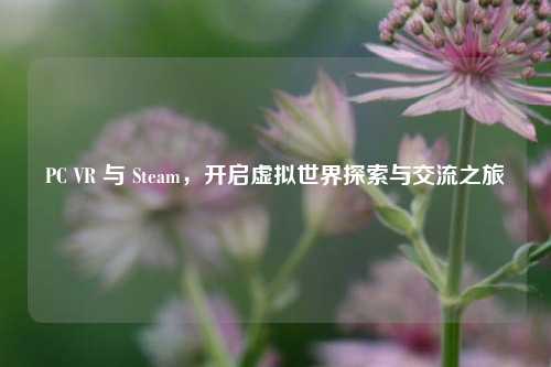 PC VR 与 Steam,开启虚拟世界探索与交流之旅