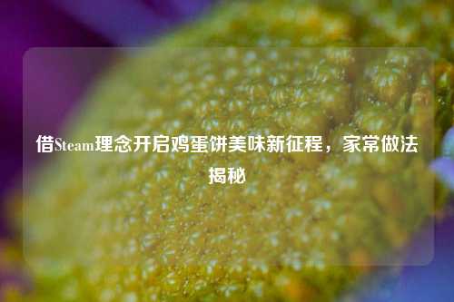 借Steam理念开启鸡蛋饼美味新征程,家常做法揭秘