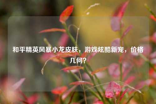 和平精英风暴小龙皮肤，游戏炫酷新宠，价格几何？