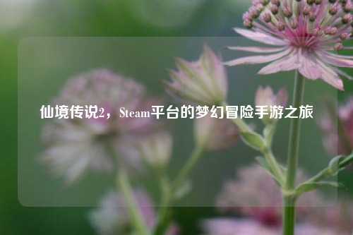 仙境传说2，Steam平台的梦幻冒险手游之旅