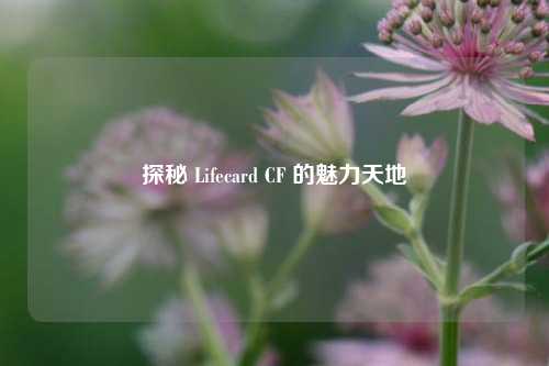 探秘 Lifecard CF 的魅力天地