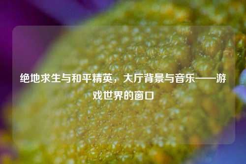 绝地求生与和平精英,大厅背景与音乐——游戏世界的窗口