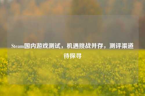 Steam国内游戏测试，机遇挑战并存，测评渠道待探寻