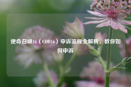 使命召唤16(COD16)申诉流程全解析,教你如何申诉