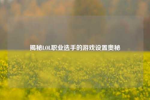 揭秘LOL职业选手的游戏设置奥秘