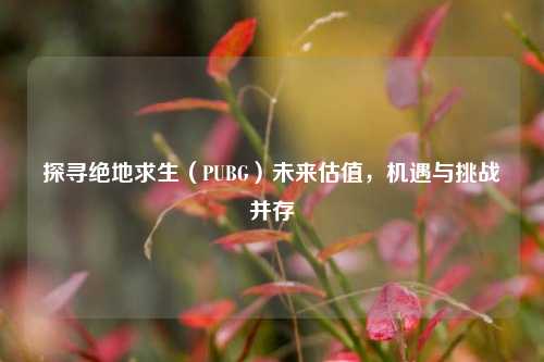 探寻绝地求生（PUBG）未来估值，机遇与挑战并存
