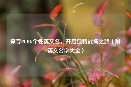 探寻PUBG个性英文名,开启独特战场之旅(附英文名字大全)