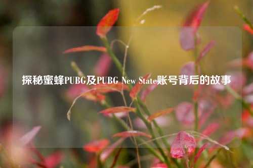 探秘蜜蜂PUBG及PUBG New State账号背后的故事