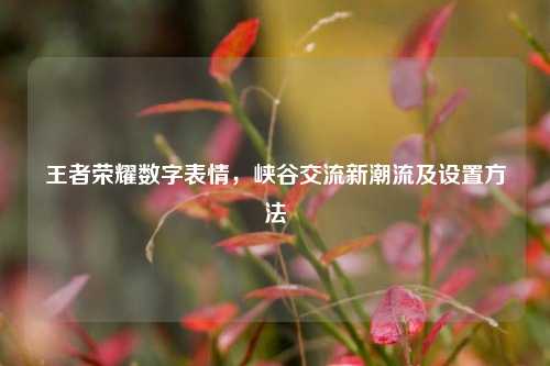 王者荣耀数字表情,峡谷交流新潮流及设置方法
