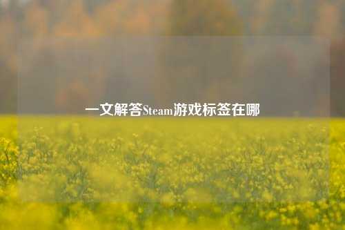 一文解答Steam游戏标签在哪